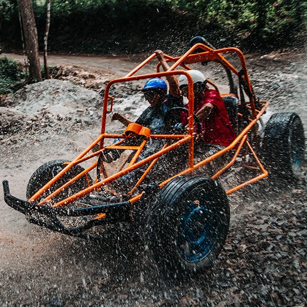 jungle buggy ride